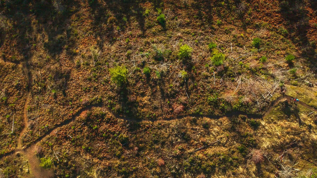 aerial view of deforestation