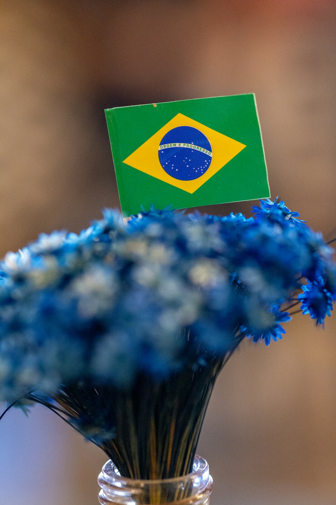 brazilian flag over ballot box